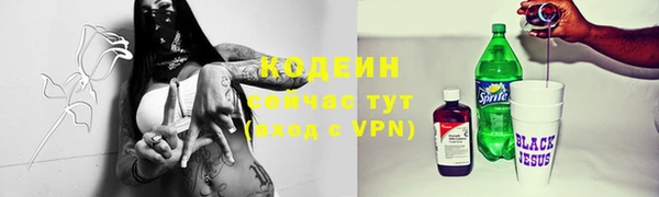 крисы Слюдянка