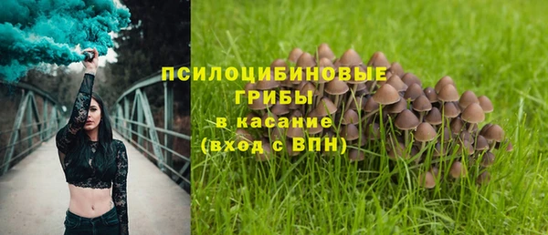 наркотики Алексин