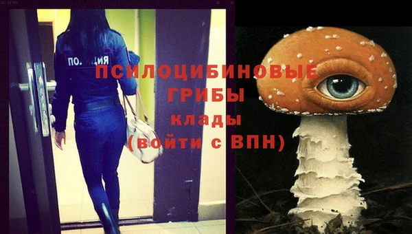 круглые Алзамай